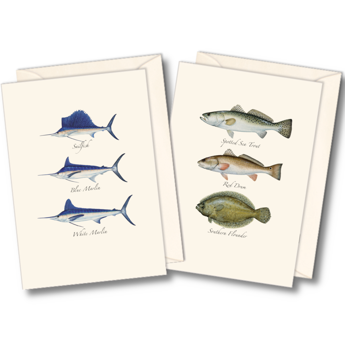 Saltwater Fish Assortment Boxed Note Cards
