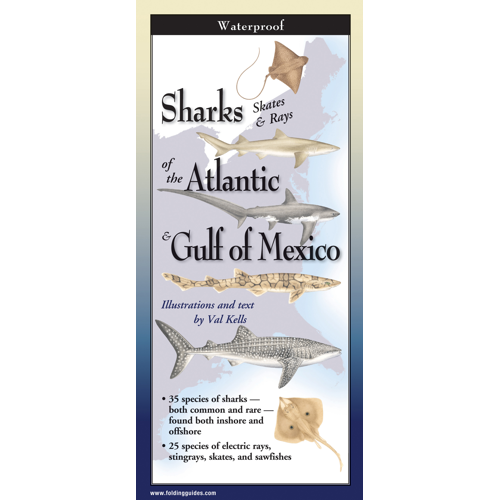 Sharks, Skates, & Rays of the Atl. & Gulf of Mex.