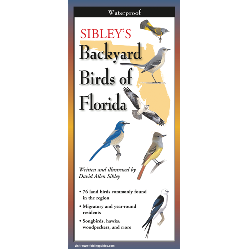 Sibley's Backyard Birds of Florida